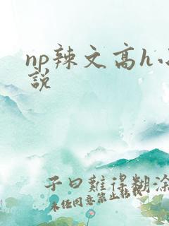 np辣文高h小说