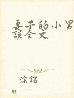 妻子的小男友小说全文