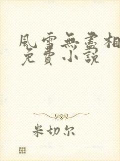 风雪无尽相思情免费小说