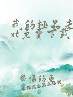 我的极品老婆txt免费下载