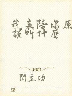 我来陪你原著小说叫什么