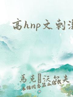 高hnp文刺激