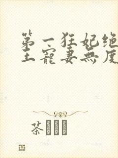 第一狂妃绝色邪王宠妻无度人物