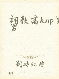 调教高hnp男男