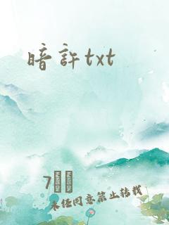 暗许txt