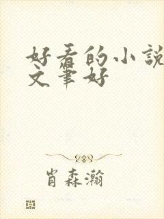 好看的小说言情文笔好