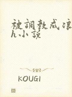 被调教成浪货高h小说