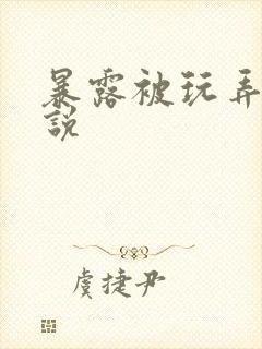 暴露被玩弄的小说