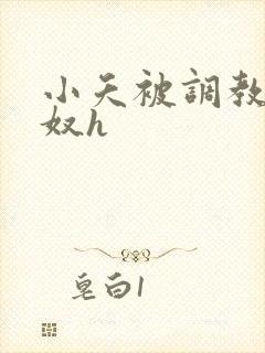 小夭被调教成肉奴h