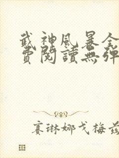 武神风暴全文免费阅读无弹窗笔趣阁