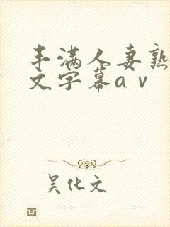 丰满人妻熟女中文字幕aⅴ