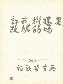 许我耀眼是小说改编的吗