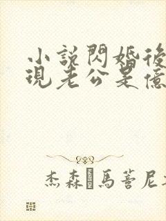 小说闪婚后,发现老公是亿万总裁免费阅读