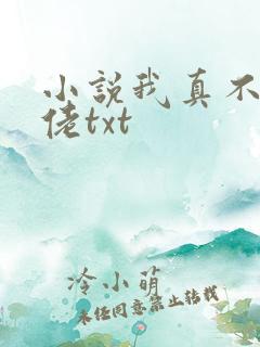 小说我真不是大佬txt
