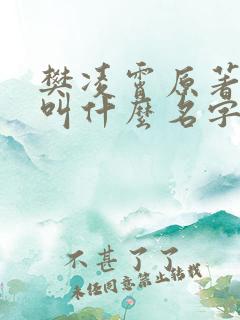 樊凌霄原著小说叫什么名字