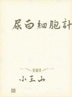 尿白细胞计数高