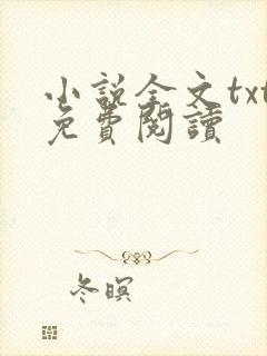 小说全文txt免费阅读