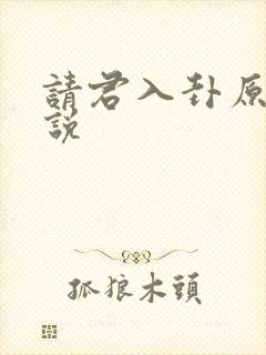 请君入卦原著小说