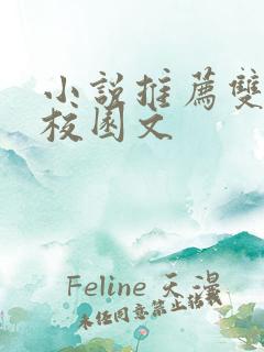 小说推荐双男主校园文