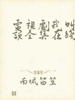 电视剧我叫刘传说全集在线观看