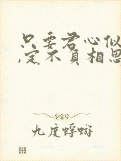 只要君心似我心,定不负相思意是啥意思