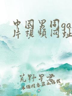 中国男同gay片视频网址