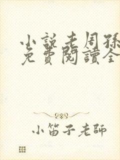 小说老周孙雪倩免费阅读全文