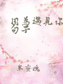 因为遇见你唯美句子