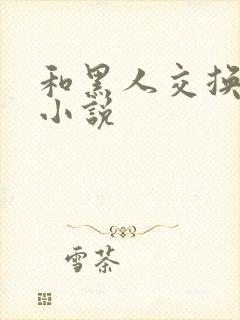 和黑人交换女友小说