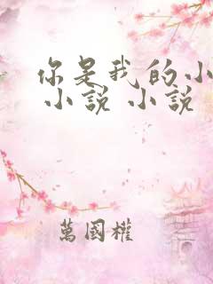你是我的小确幸 小说 小说
