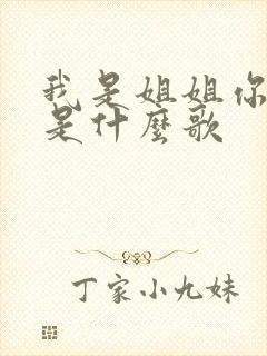 我是姐姐你是妹是什么歌