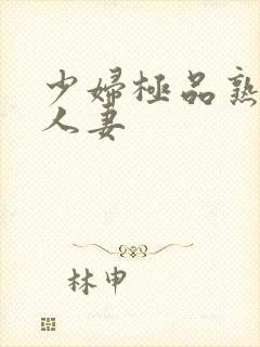 少妇极品熟女彐人妻