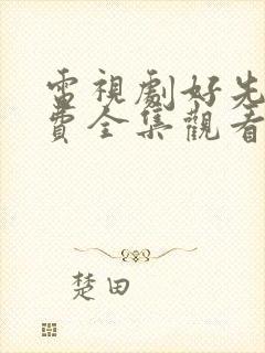 电视剧好先生免费全集观看