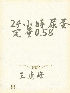 24小时尿蛋白定量0.58