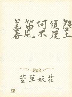 羌笛何须怨杨柳春风不度玉门关意思