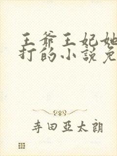 王爷王妃她很能打的小说免费阅读