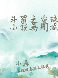 斗罗之灵珠神剑小说无删减