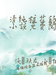 清纯校花的秘密小说免费阅读全文