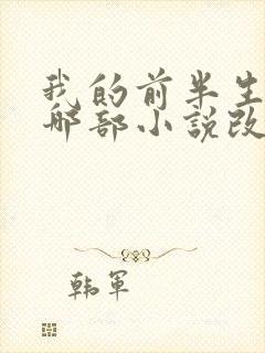 我的前半生根据哪部小说改编