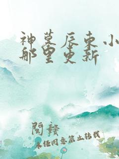 神墓辰东小说在那里更新