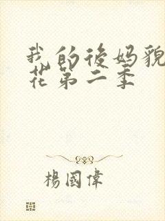 我的后妈貌美如花第二季