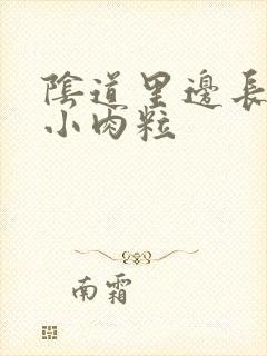 阴道里边长了个小肉粒