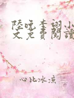 陆晚李翊小说全文免费阅读无弹窗