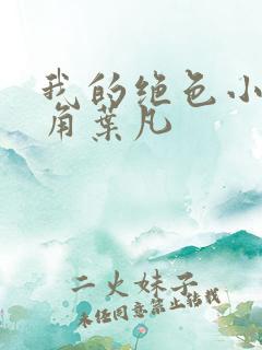 我的绝色小姨主角叶凡