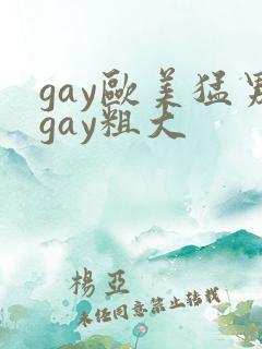 gay欧美猛男gay粗大