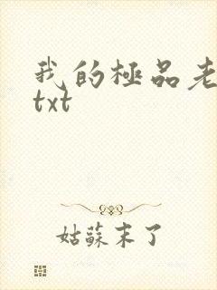 我的极品老婆们txt