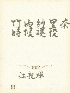 竹内纱里奈什么时候退役