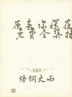 原来你还在这里 免费全集播放