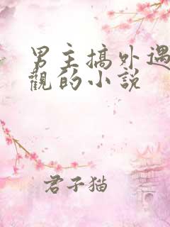 男主搞外遇毁三观的小说