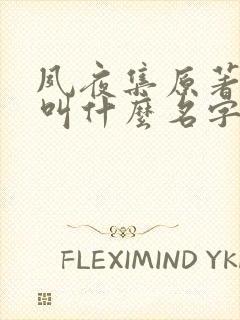 夙夜集原著小说叫什么名字